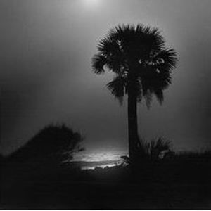 Meet your Posher, Ken